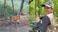 Raveena Tandon ने बाघ के करीब जाकर शूट किया VIDEO, मुश्किलों में फंसी एक्ट्रेस ने दी ये सफाई